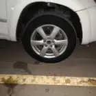 جنوط راف فور