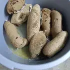 عسل بري حر اليوم.