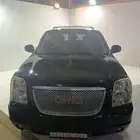 جيمس دينالي2007