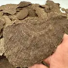 عود هندي جار ويسمى تشار نجلاند