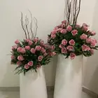 مراكن ورد فازات استقبال