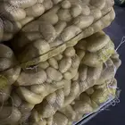 بطاطس قلي 15 كيس