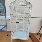 قفص بغبغان امزون ماكو افريقي