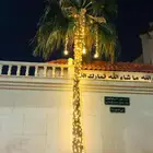 اضاءه نخل وزينه نخل والشجر هلال رمضان