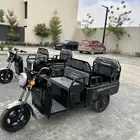 عربات كهربائية لكبار السن والتأجير والترفية والتنقل