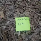 عود ماليزي صباح طبيعي
