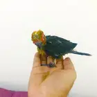 فروووخ صن كنيور غر(تم البيع)