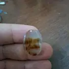 عقيق يماني