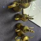 دلال رسلان للبيع