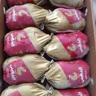 دجاج الفروج الذهبي