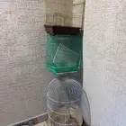 قفص عصافير