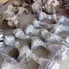 دفرنسات ددسن