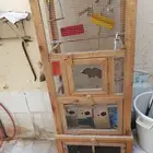 محكر طيور