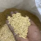 حبوب شوفان كامله للطيور