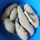 عسل بري حر القنفذة