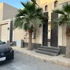 نخل امريكي للبيع