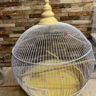 أقفاص طيور للبيع