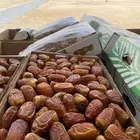 سكري وصقعي
