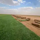ثيل سي الفين طبيعي درجه اولى