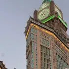 ورق عنب وملفوف