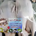 بط جاهز لذبح