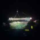 نخيل لبيع