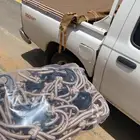 توصيل اضاحي