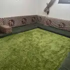 مجلس