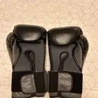 Gloves boxing everlast