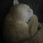 مكة