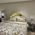 الشرقية - الخبر