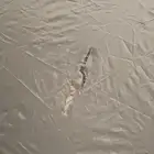 شنطه كاميرا و مظله تصوير