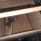 زوج كروان للبيع