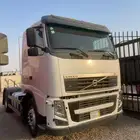 راس فولفو الزاهد