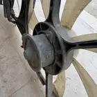 مراوح