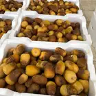 رطب ربيعة