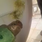 شركة لحام واصلاح خزانات الفيبر جلاس