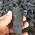 فحم الكويت المميز الطبيعي