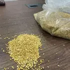 دخن ولب عالي الجودة متوفر بكميات كبيرة