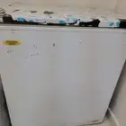 الليث