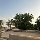 للبيع مزرعة بالجراد
