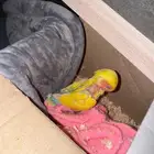 فرخ روز اصفر