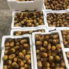 لونة