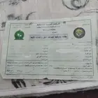 ورقة جمرك دباب 100X