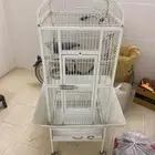 قفص ببغاء