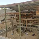 قطايف للبيع