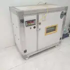 فقاسة بيض تماتيك