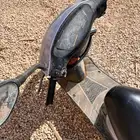 دباب بطه الخرج