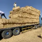 تبن شد جندير فاخر