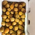 روثانة